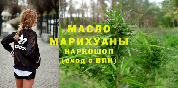 мет Алексин