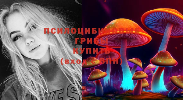 СК Покачи