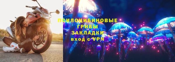 бошки Алзамай
